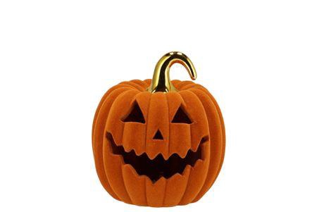 <h4>Autumn Flock Scottish Spice Pumpkin Face Led 13x13</h4>