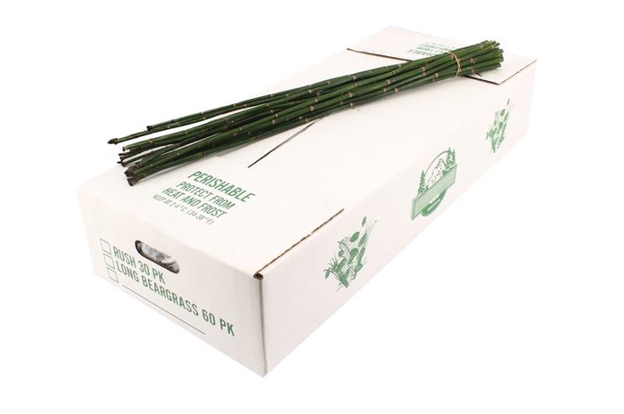 <h4>Bamboe Snakegrass Vacuum X5</h4>