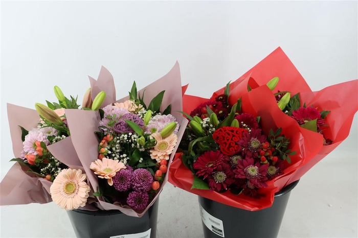 <h4>Bqt Twister 17st</h4>