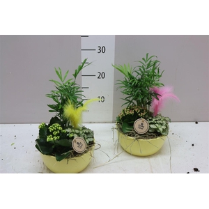 Arr 9744 Keramiek Yellow