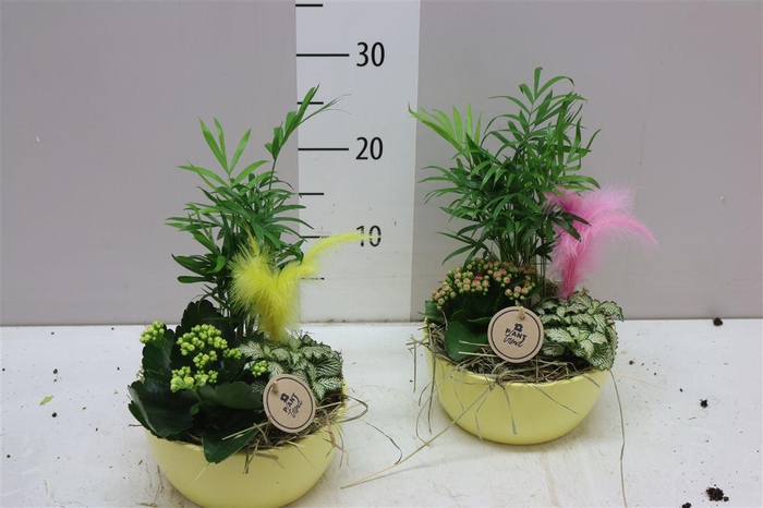 <h4>Arr 9744 Keramiek Yellow</h4>