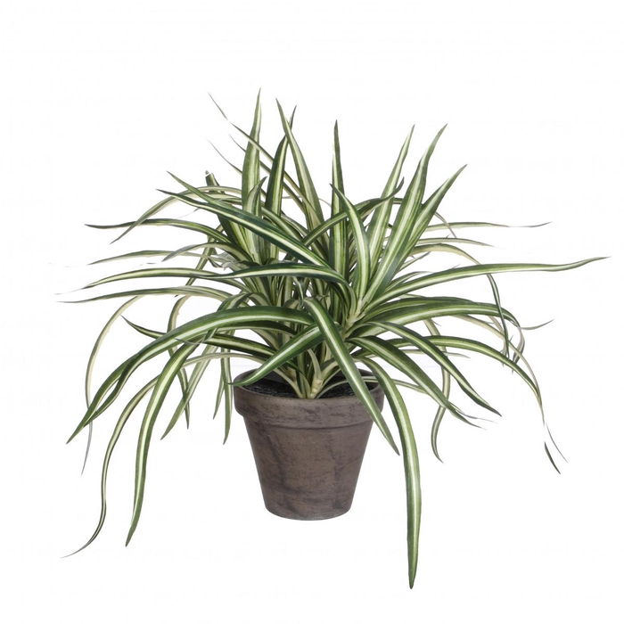 <h4>Kunstplanten Pot Dracaena d11/40*34cm</h4>