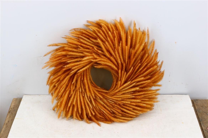 <h4>Wr Silkworm Natural</h4>