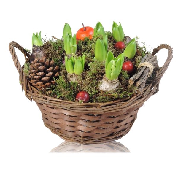 <h4>Arrangementen Hyacinthus 6%</h4>