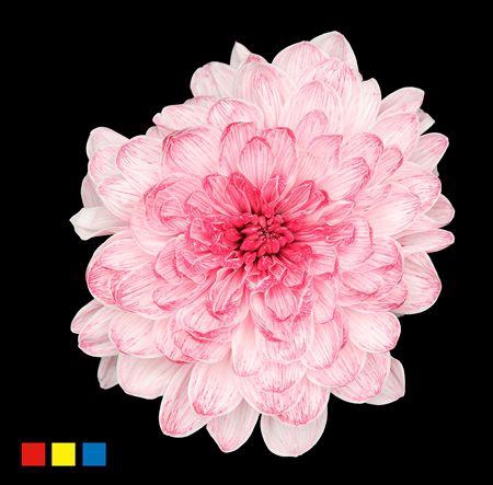 <h4>Chr T Altaj Lipstick</h4>