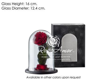 <h4>Dome Sofia Red01 Bulk</h4>