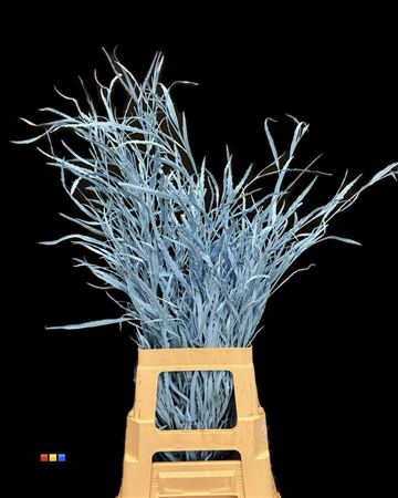 <h4>Grevillea Light Blue</h4>