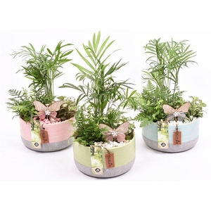 Keramiek schaal kl.mix label 17cm