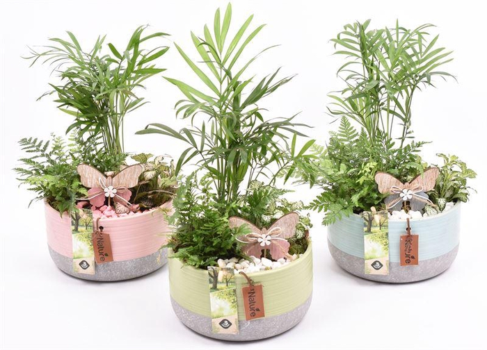 <h4>Keramiek schaal kl.mix label 17cm</h4>