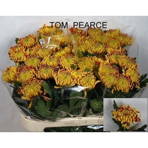 CHR G TOM PEARCE