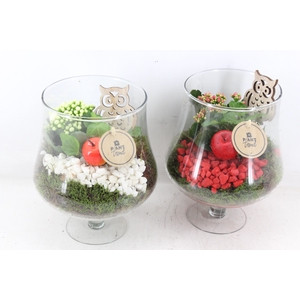 arr2 PL - Glas op voet - rood/wit