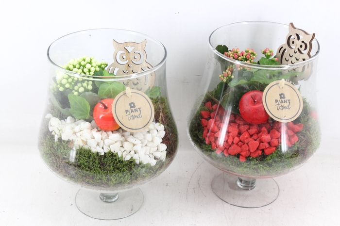 <h4>arr2 PL - Glas op voet - rood/wit</h4>