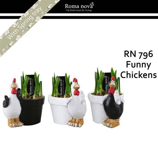 <h4>arr4 Narcis RN - Funny chickens</h4>