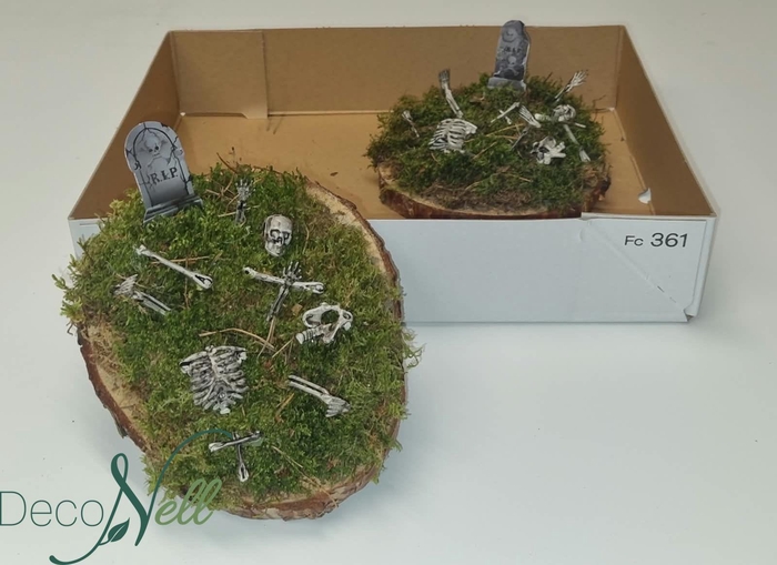 <h4>ARR TUINPLANTEN</h4>