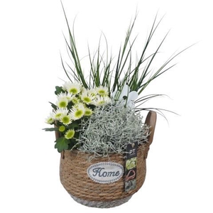 PTSO6032 Arrangement Summer Outdoor in rieten mand