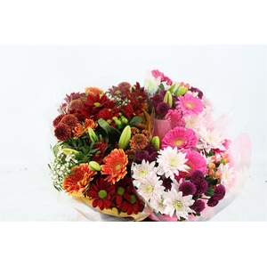 Bqt Season Large 11st