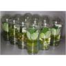 <h4>212-drijfplanten mix</h4>