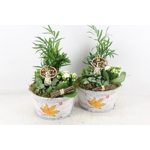 arr2 TD - Schaal rond herfst - wit