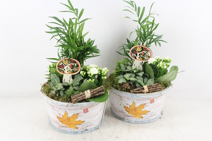 <h4>arr2 TD - Schaal rond herfst - wit</h4>