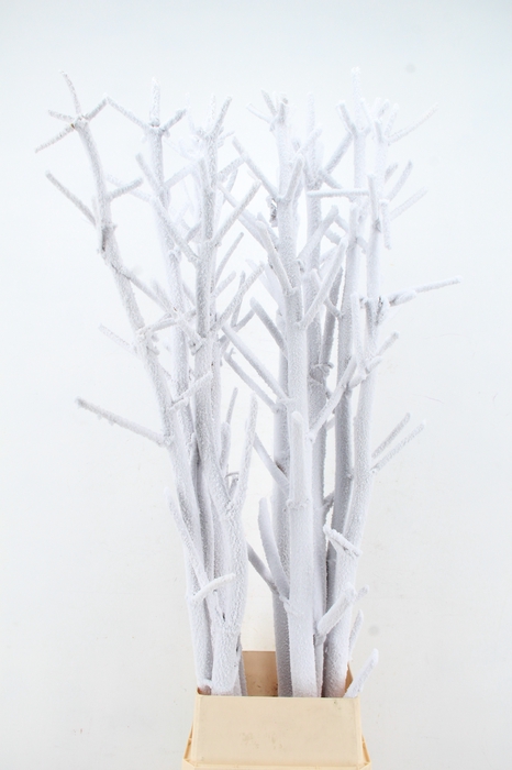 <h4>Ferule Kapstok Snow</h4>