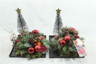 <h4>K653 VK ROOD DIENBLAD</h4>