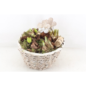 arr4 Bollenmix JS - Touwmand rond white