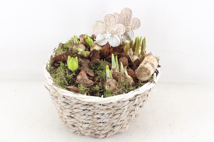 <h4>arr4 Bollenmix JS - Touwmand rond white</h4>