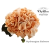 HYDR M SALMON L 80 CM