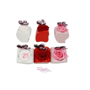Arrangementen Potroos H%
