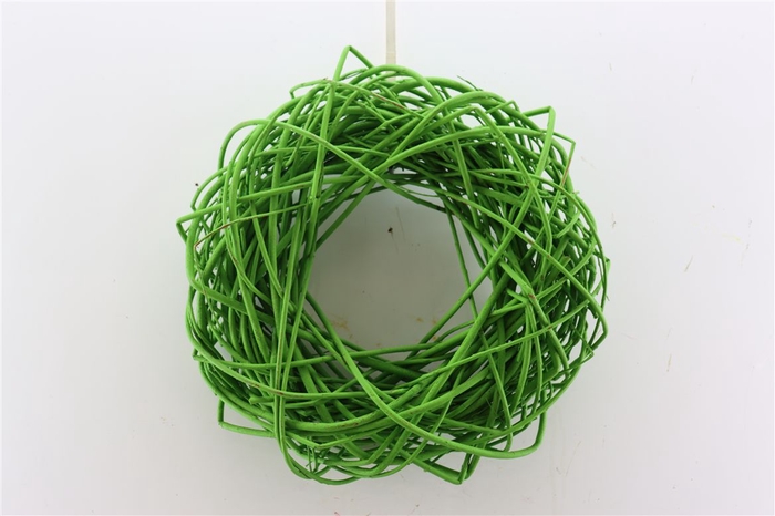 Wr Cornus Painted Carnaval Green 45cm