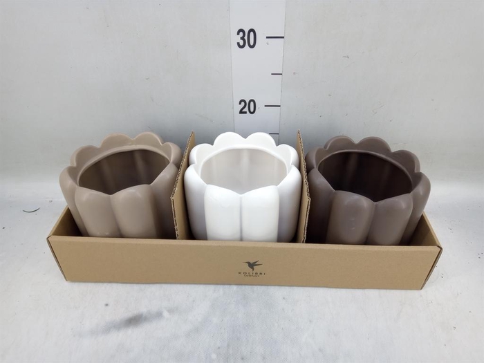 <h4>Pot   ...Keramische H%</h4>