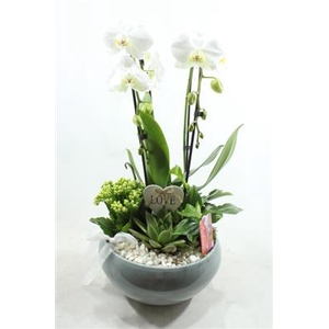 0942 Cascade WHITE