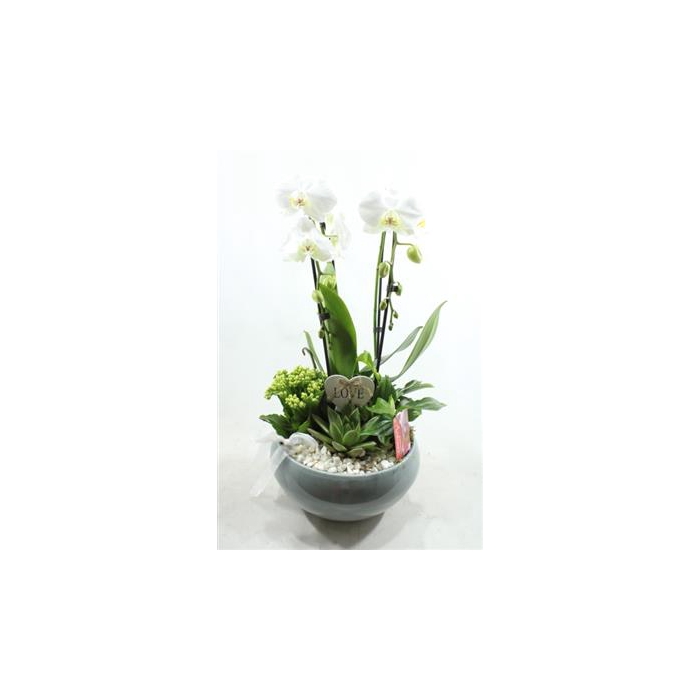 <h4>0942 Cascade WHITE</h4>