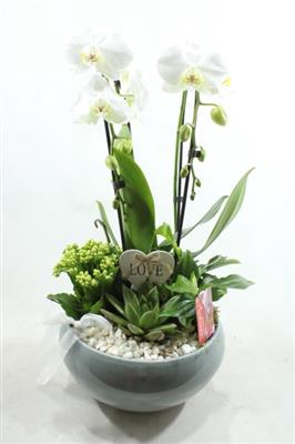 0942 Cascade WHITE