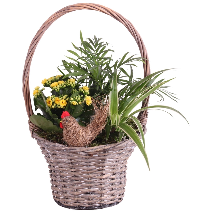 <h4>Easter Arr. Indoor Willow Handle Basket Ø23cm 3PP</h4>