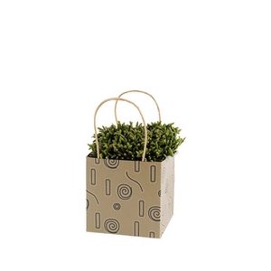Bag Mosa cardboard 13x13xH13cm beige