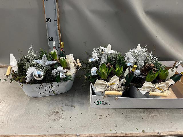 <h4>ARR BOL KNOLGEWAS</h4>