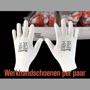 Working Gloves Minimal Risk