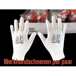 Working Gloves Minimal Risk