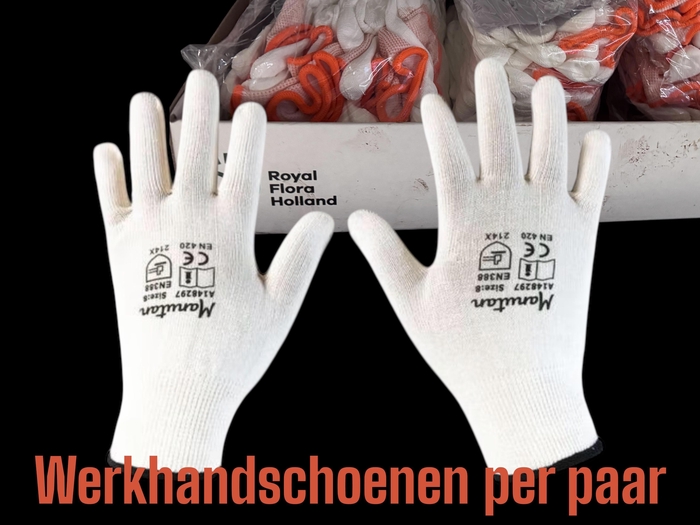 <h4>Working Gloves Minimal Risk</h4>