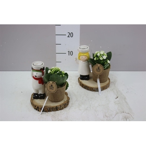 Arr 780 Kerstfiguur Op Schors