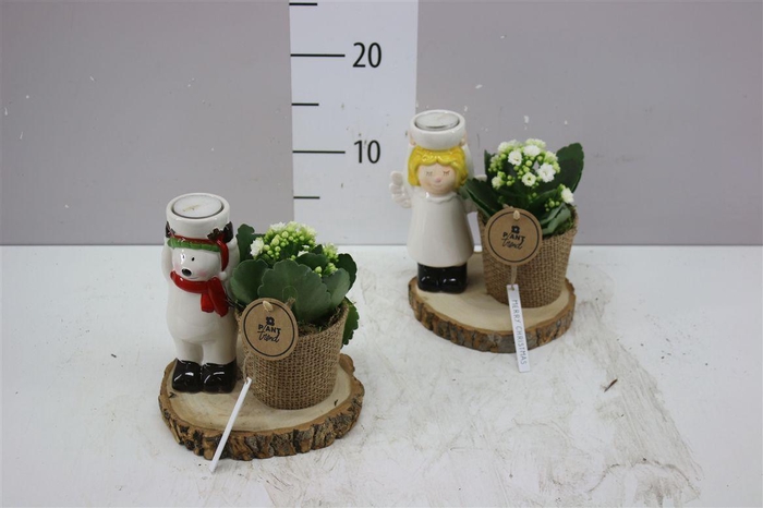 <h4>Arr 780 Kerstfiguur Op Schors</h4>