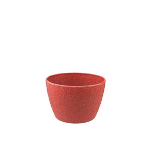 VASO COLMEIA M MOGNO