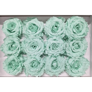 Ro Pres Rom Mini Mint