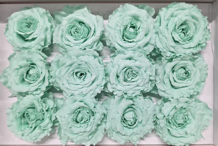 Ro Pres Rom Mini Mint