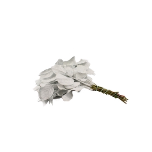 Salal Tip Gev. Wit