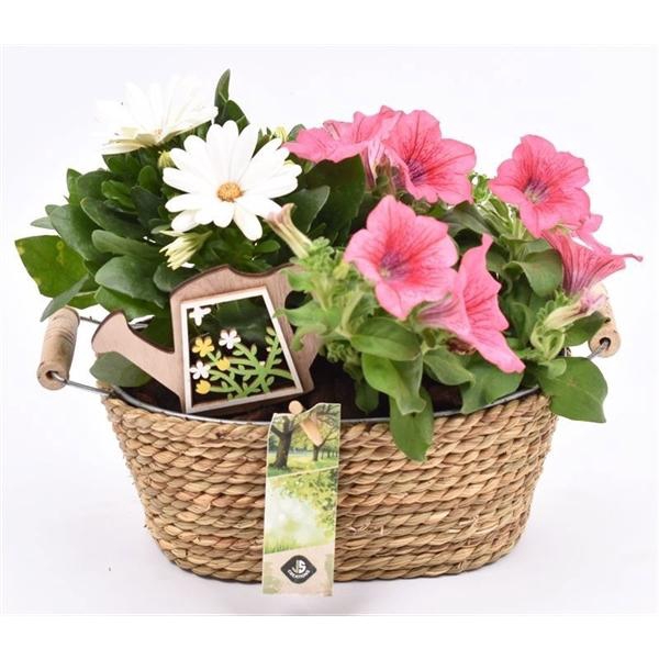 <h4>Touw met zink schaal ovaal 21x14cm</h4>