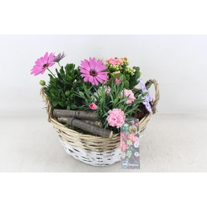 arr4 Outdoor MB - Mand duo x2