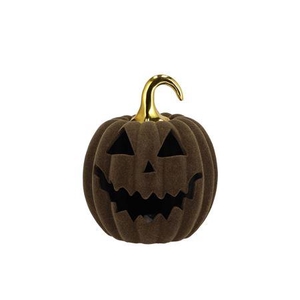 Autumn Flock Scottish Green Pumpkin Face Led 17x17