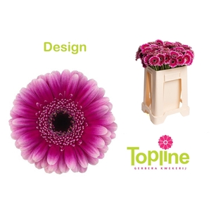 GE MI DESIGN